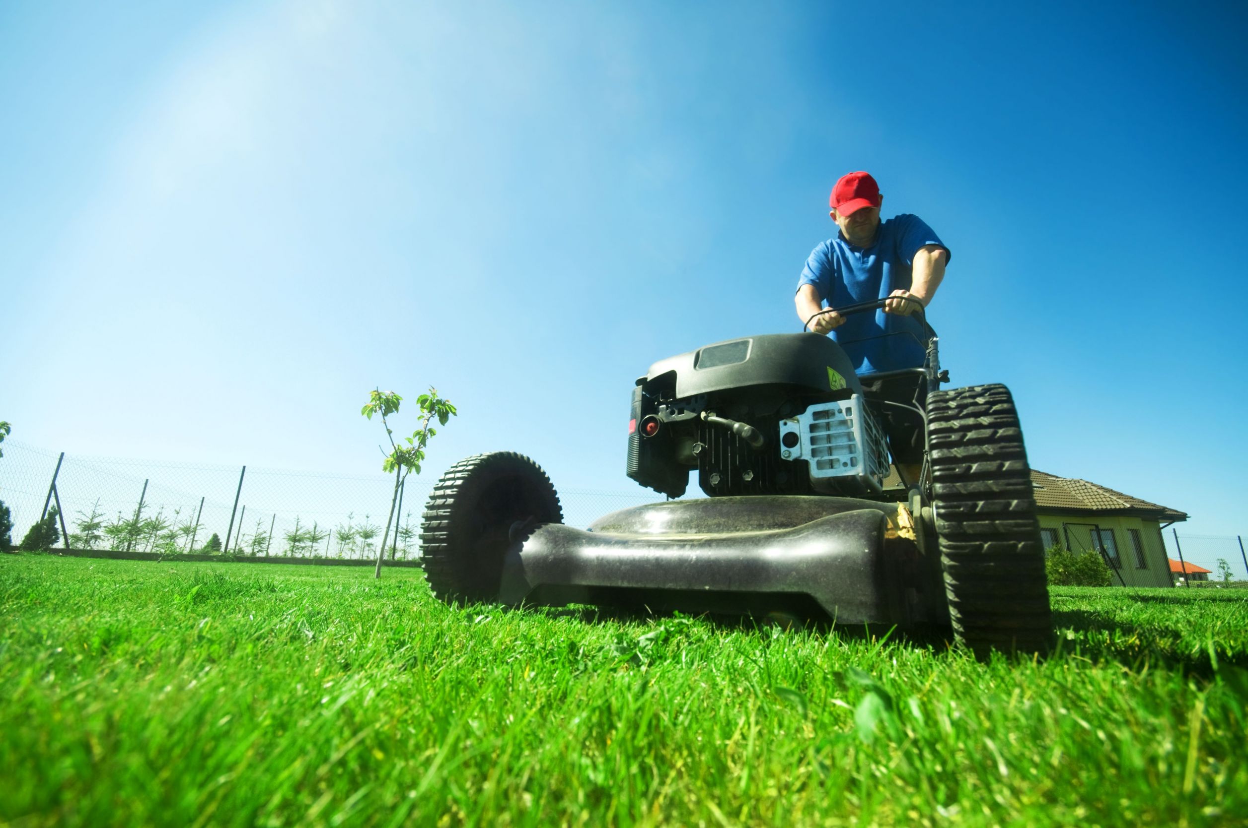 Local Landscapers Offer the Best Lawn Care Treatment in Charlotte, NC