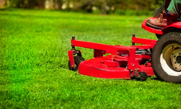 Protect Your Lawn With Weed Treatment in Ballwin, MO