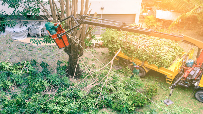 Be Safe: Contract a Professional Tree Removal Service in Portland, Oregon