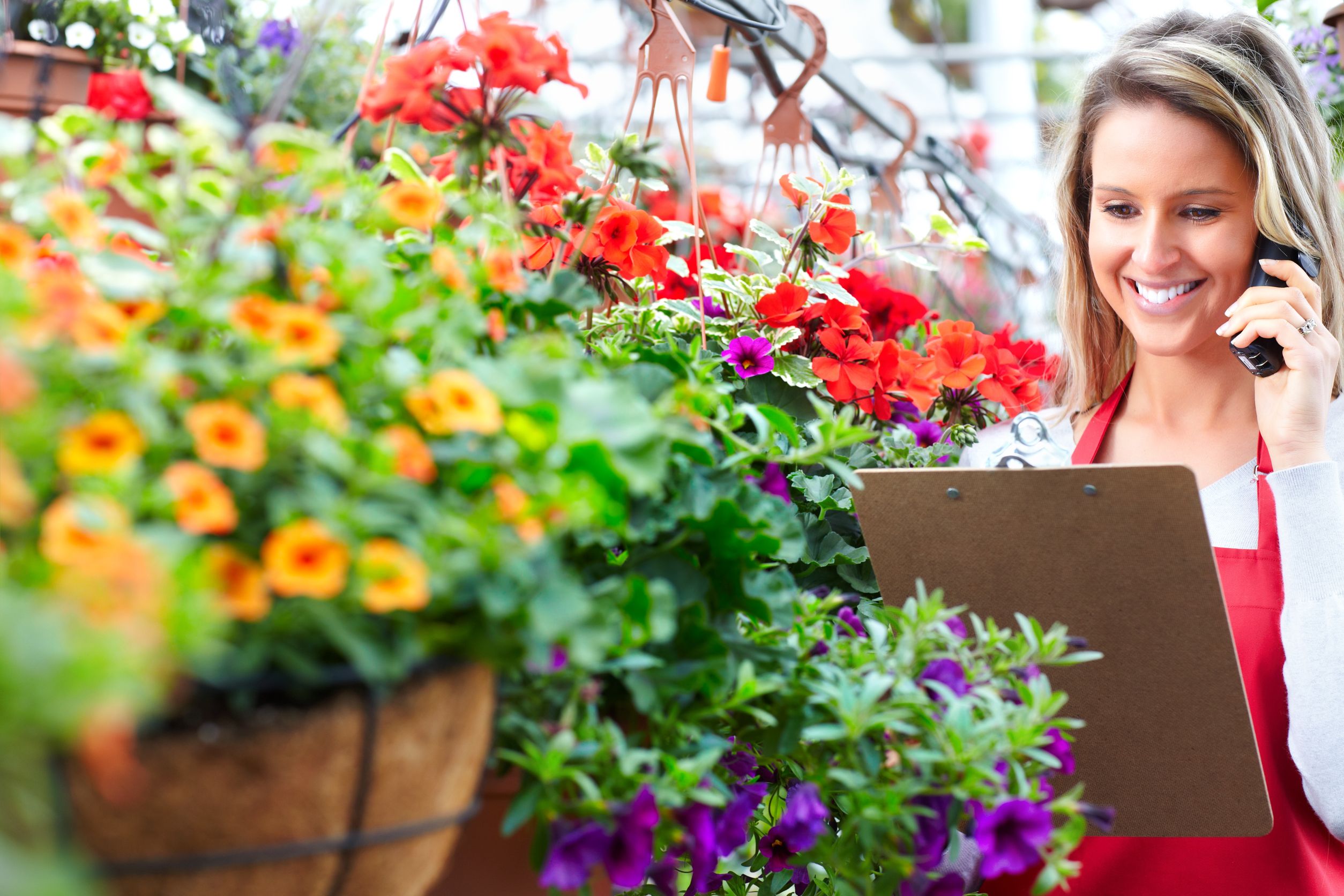 Blooming Success: Tips for a Productive Meeting with Wedding Flower Shops in Mandan, ND