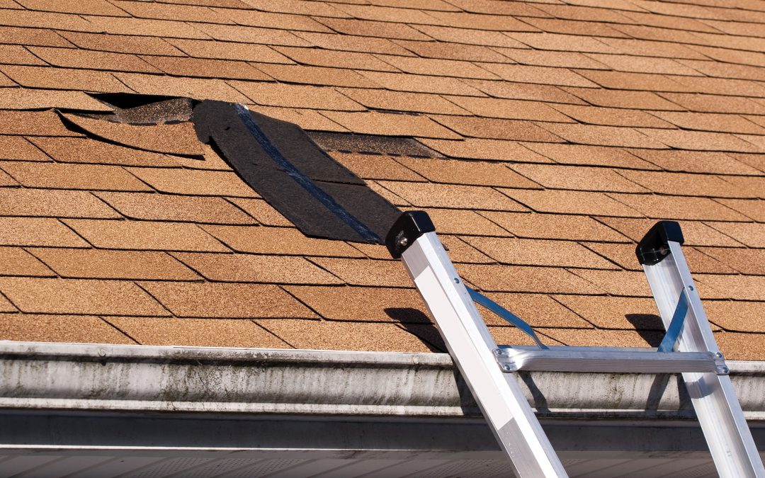 Get a Reputable Roofing Company to Handle Roof Installation in Pompano Beach, FL