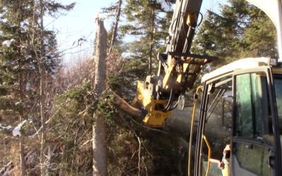 How to Use Brush Cutters for Mini Excavators