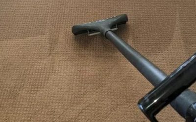 Top Benefits of Choosing Carpet Cleaning Near Arvada, CO