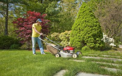 Effortless Beauty with Landscaping Services in West Chicago – Safety and Style Combined