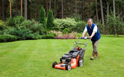 Top Tips for Lawn Care Maintenance Near Gainesville VA: A Guide