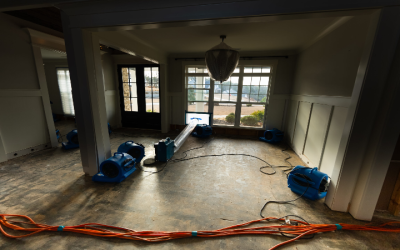 Expert Biohazard Remediation Services in Peachtree City GA: A Guide