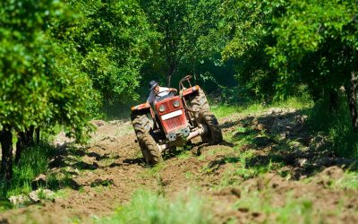 Affordable Kubota Equipment Rentals Services in Kiowa CO for Your Project Needs