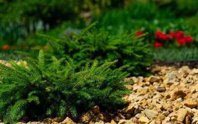 Transform Your Backyard with Patio Installation Near Minnetonka, MN